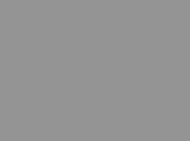 Rounded Rectangle 9 copy 10